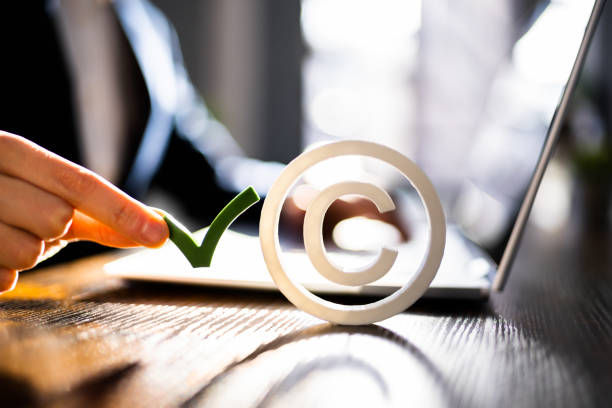 中视丰德影视版权有限公司介绍